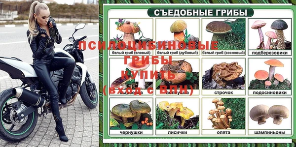 ALPHA PVP Алексин